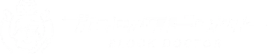ブロックドクター